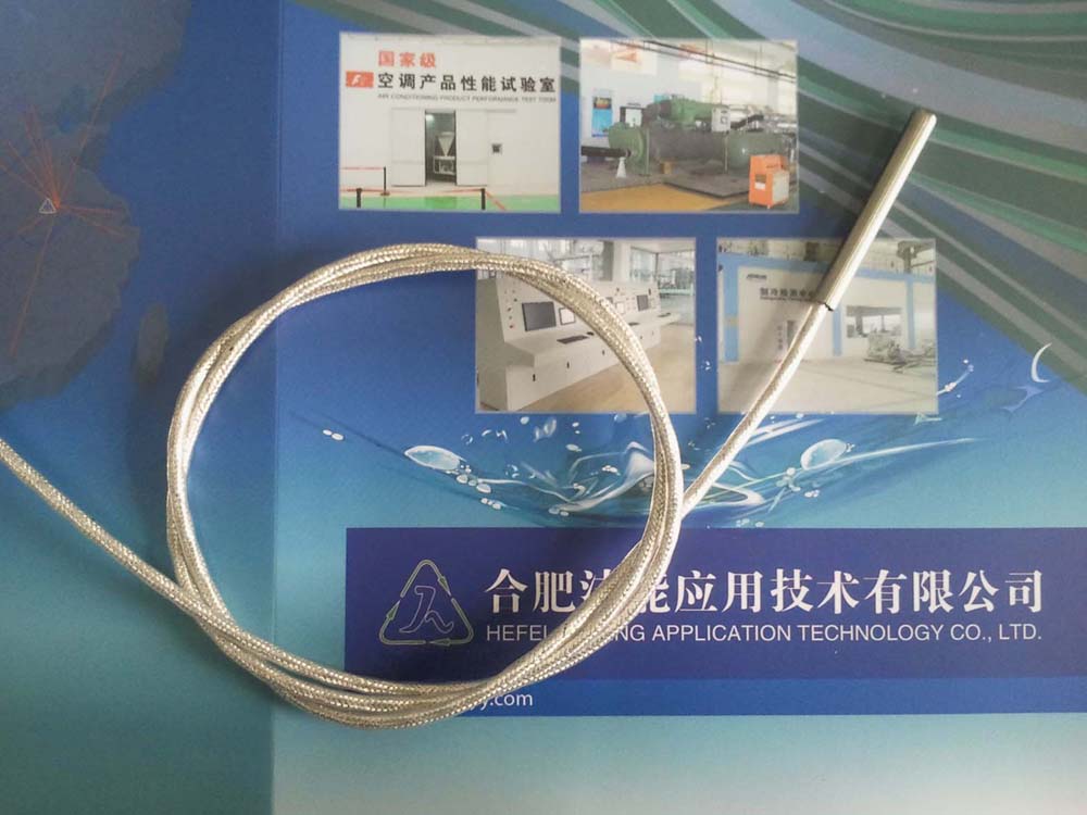 1/3B級(jí) PT100鉑電阻