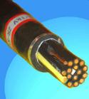 礦用信號(hào)電纜MHJYV (3-47芯)(0.75～2.5mm2)