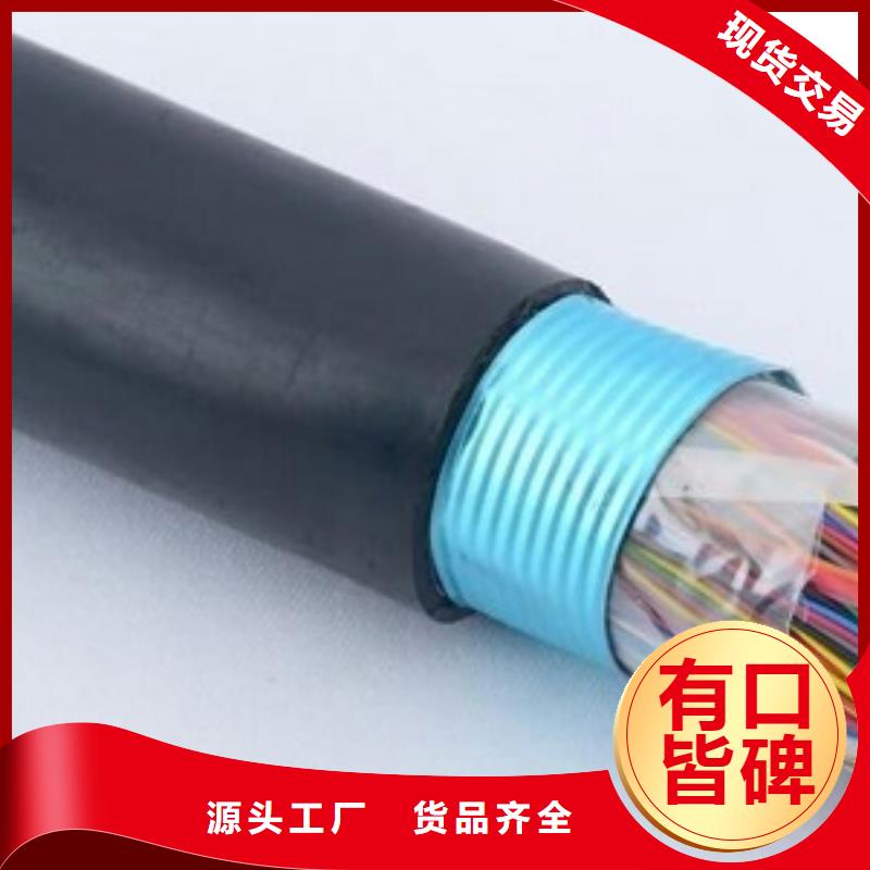 20X2X1/0.8MHYSV-礦用通信電纜