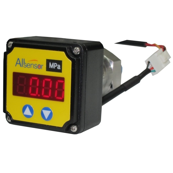 P206系列壓力變送器韓國(guó)Allsensor