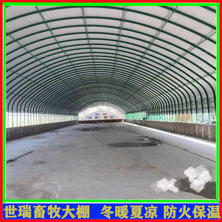 養(yǎng)牛場(chǎng)牛棚建設(shè) 牛舍大棚搭建 肉牛養(yǎng)殖棚施工廠家
