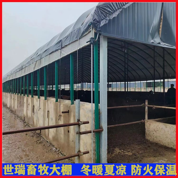 養(yǎng)牛場牛舍大棚建設(shè) 肉牛養(yǎng)殖大棚搭建 養(yǎng)牛大棚安裝廠家