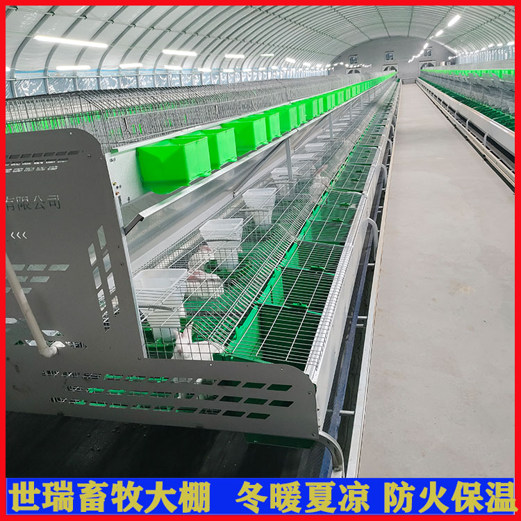 養(yǎng)兔大棚建設(shè) 全封閉兔棚搭建 繁殖母兔養(yǎng)殖大棚安裝