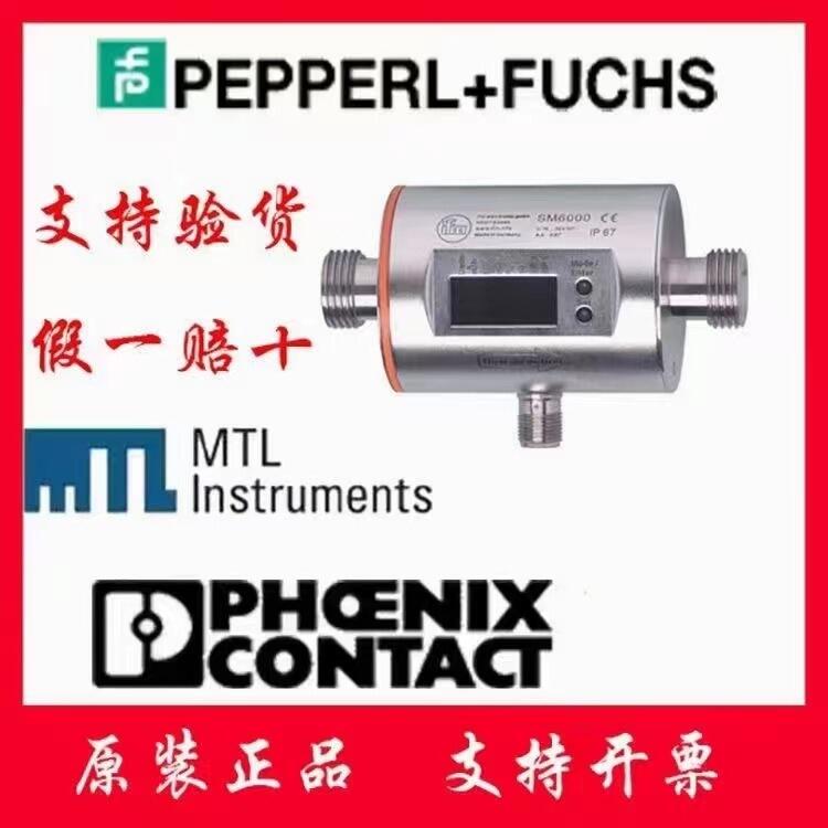 上海冠寧銷售德國(guó)IFM易福門電磁流量計(jì)SM6000