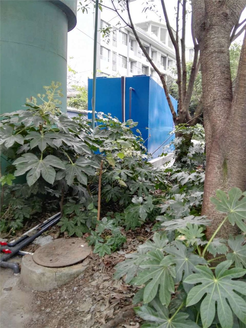 成都廠區(qū)一體化生活污水處理設(shè)備維護(hù)維修。  消毒計量泵維修