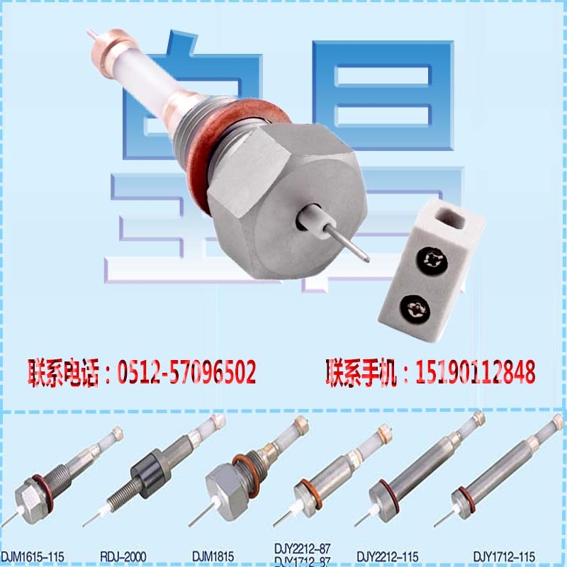 高純氧化鋁水位計(jì)天津北辰區(qū)水位電極規(guī)格M20×1.5×97mm