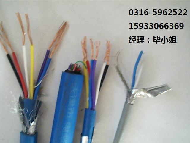 ZR-DJYPV天津；阻燃計(jì)算機(jī)電纜ZR-DJYPV