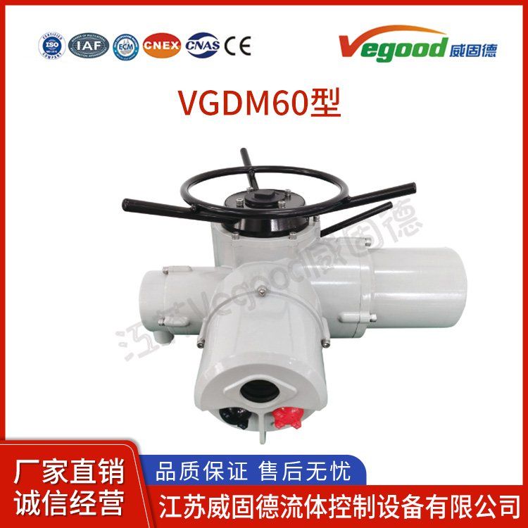 F-DZW60智能型電動執(zhí)行機構智能型傳感器末端執(zhí)行器